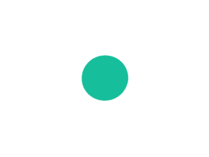 Instagram Ads icon representing services by a digital marketing agency online